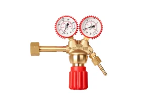 Kasweld 2160-SM Metan Basınç Düşürücü