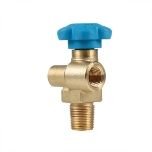 Kasweld GTV-230-S-04 Argon RPV Tüp Vana